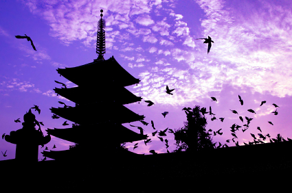 טיול מאורגן ליפן–מסע בין מסורות לקדמה