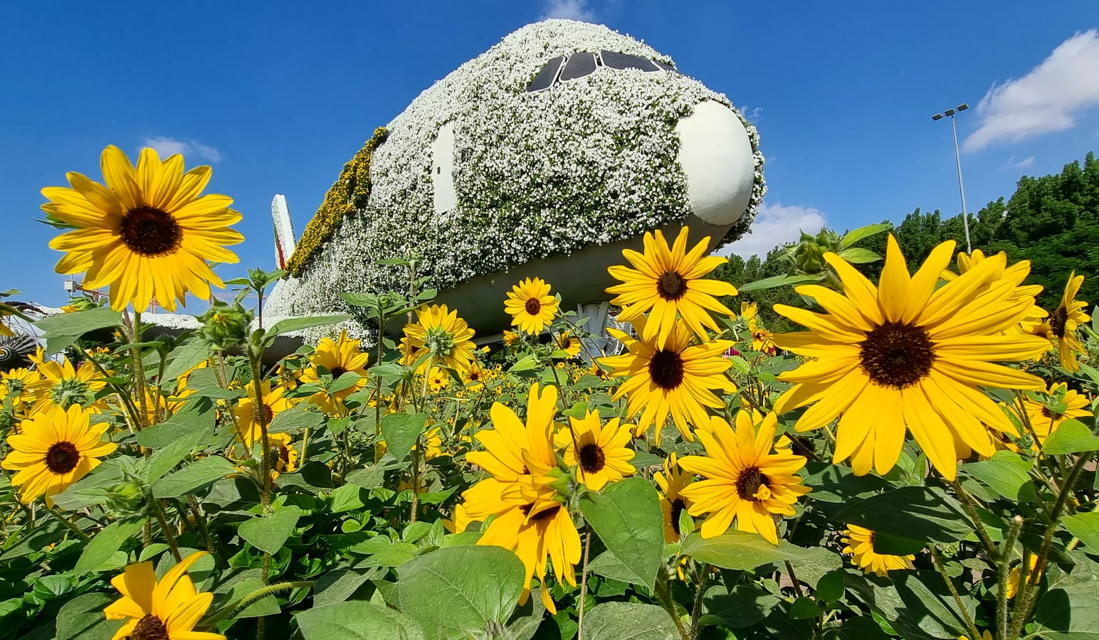 איחוד האמרויות דובאי ואבו דאבי
