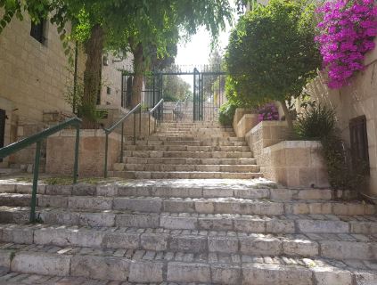 סיור בעקבות היציאה מהחומות