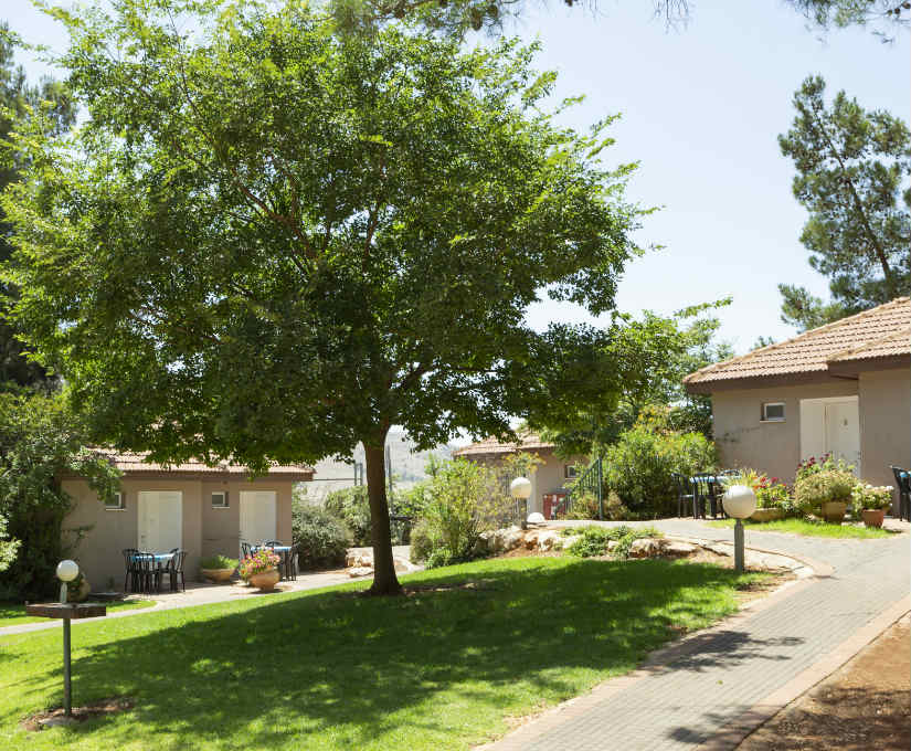 מטיילים- מלכיה