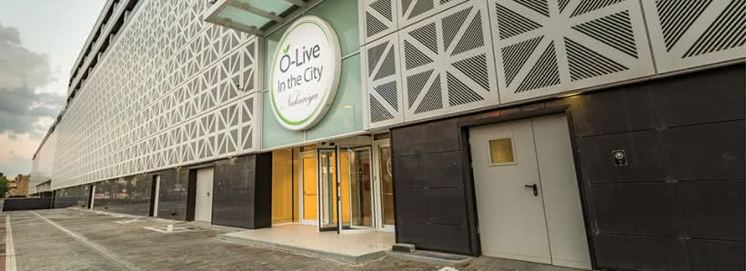 אוליב נהריה