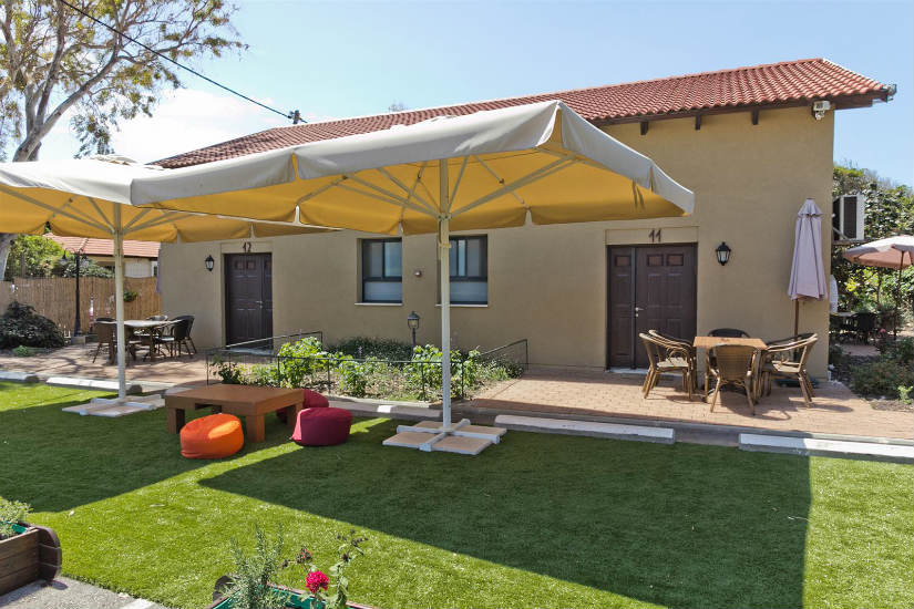 אוליב דולפין וילג'