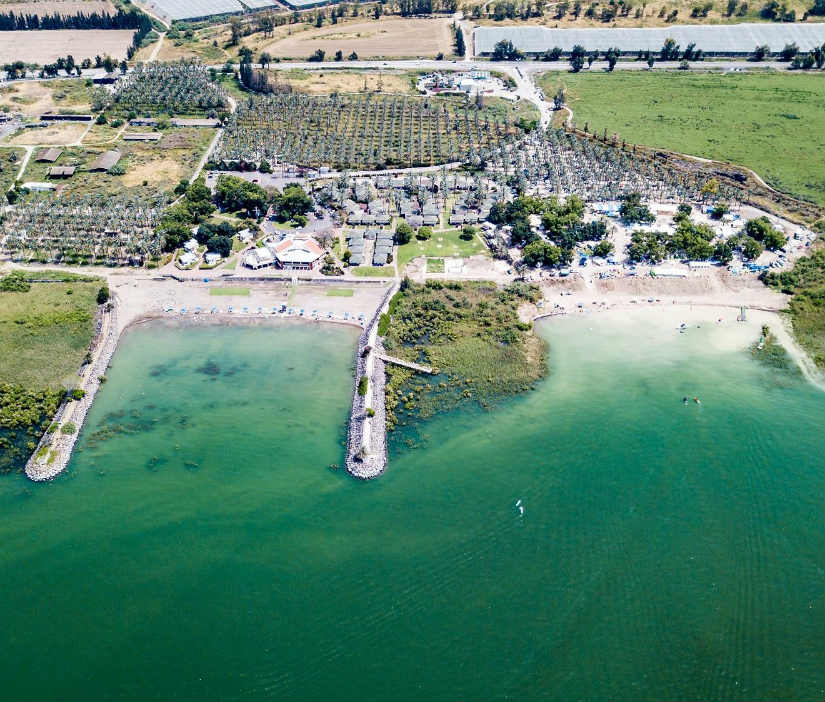 רימונים דריה על הכנרת