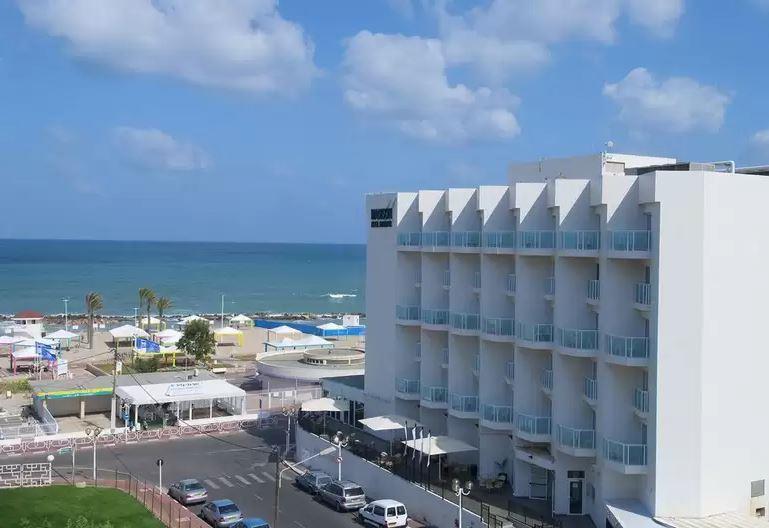 אוליב מדיסון נהריה