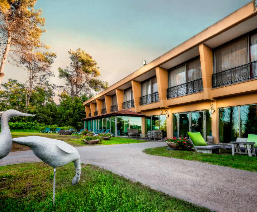 אחוזת אסיינדה ביער